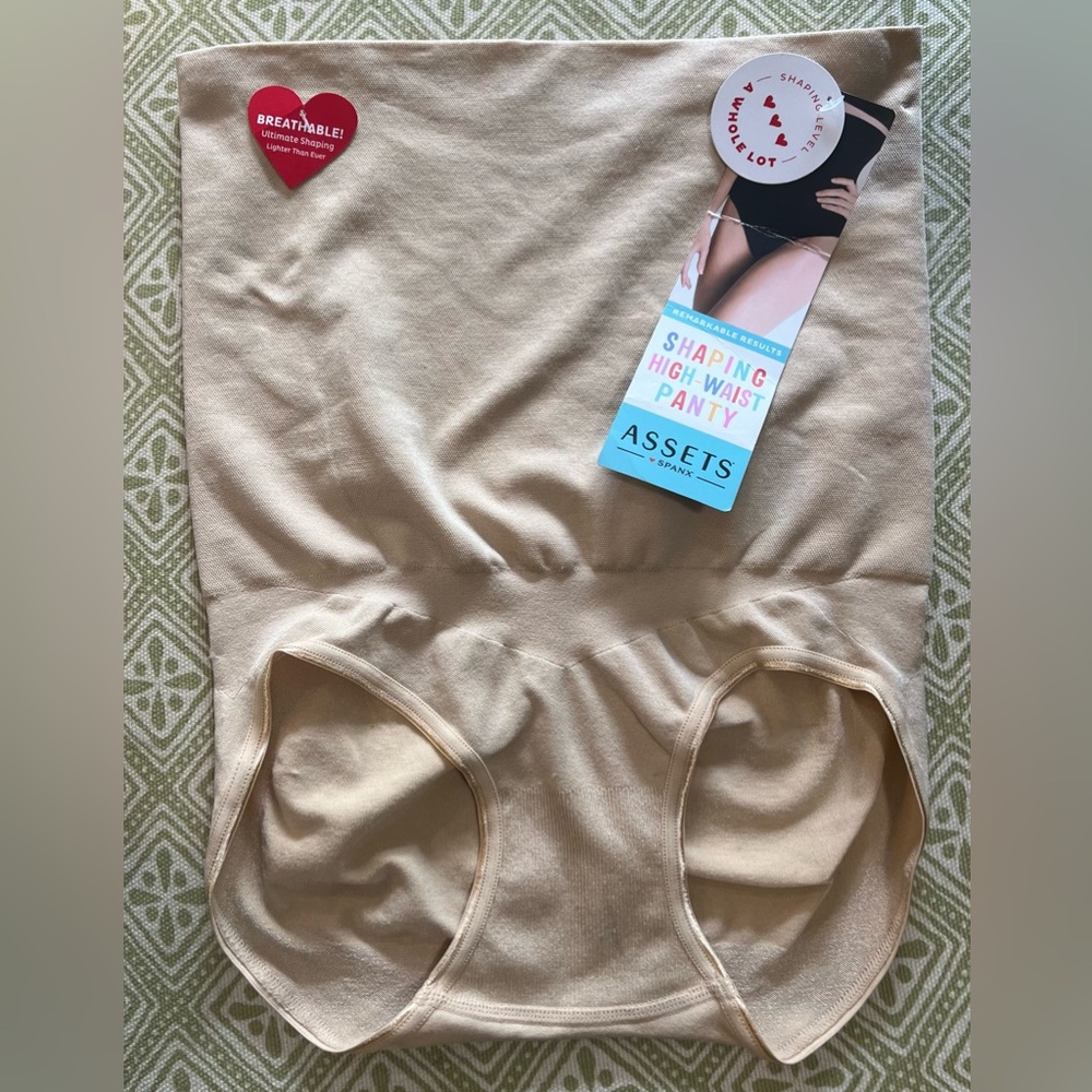 Asset SPANX High-waist Shaping Panty in Large